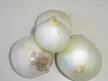 FRESH WHITE ONIONS AVAILABLE