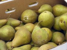 Fresh Pears