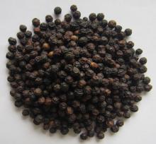 Black Pepper