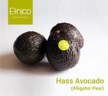  Hass   Avocado 