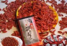 Competitive price and good quality goji and goji berry powder/wolfberry extract