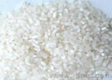 BEST RICE SELLERS
