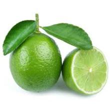 Frozen Concentrated  Lime   Juice 
