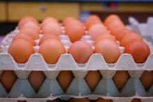 FRESH BROWN POULTRY EGGS