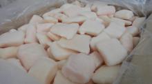 PANGASIUS CUBE