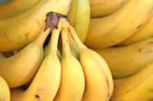 Fresh Bananas