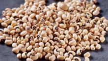 Black Eyed Bean