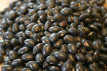 Black Kidney Beans