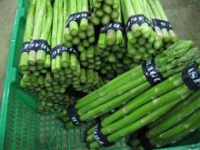 Fresh  Asparagus 