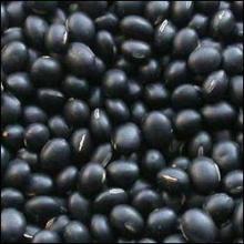 Black Lentils