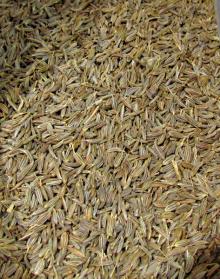  Caraway   Seed s