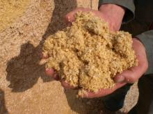  Corn   Gluten   Feed 