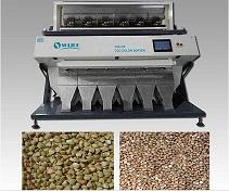 buckwheat color sorter