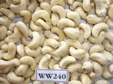 Dried Style Vietnam Cashew Nuts/ Cashew Kernels ww240/ ww320/ ws/ lp