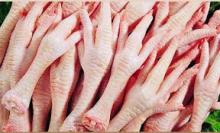 Halal Frozen Chicken Feet