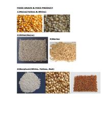 FOOD GRAINS &  FEED  PRODUCTS