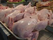 Premium Quality Halal Frozen Whole Chicken Available