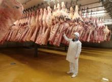 Grade A Frozen Beef Meat, Topside, Striploin,  Knuckle , Shin Shank, Cube Roll, Tenderloin, Eye Round