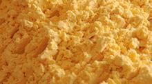 EGG YOLK POWDER