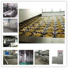 fried Instant Noodles Making Machine/Production Line/Plant