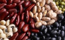 Green Mung Beans 2015 crop  hot  sale  product s