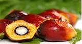 2014 new palm oil