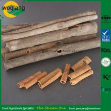 Competitive Price Top Grade ceylon Cinnamon Stick