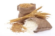  Wheat  flour