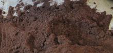 vabilla powder
