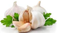 New crops fresh garlic 4.5cm-6.0cm