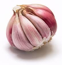 Garlic Type and Liliaceous Vegetabless Product Type natural garlic fresh garlic