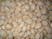 Pearl Garlic/Single Clove Garlic