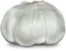 Pure White Garlic