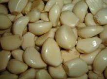 2014 market prices for shandong fresh peeled garlic