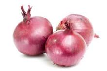 Fresh Cheap Chinese onion