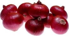 Best Selected Onions