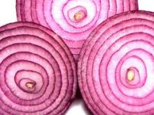  New   Crop   Fresh   Red   Onion 