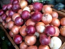 Chinese Yellow Onions