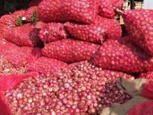Whole Red Onion best price