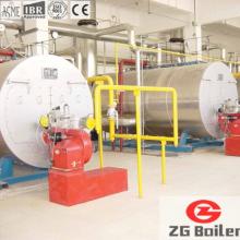 Vertical field assembly Gas Fired Boiler in Sea Food Factory