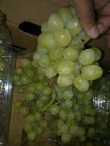  Fresh  Seedless Gr