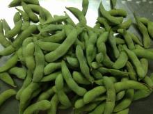 Frozen Edamame