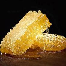 Bulk pure yemen sidr honey