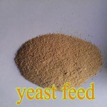 yeast feed 50%
