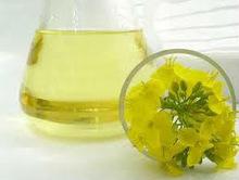 cooking sun flower oil