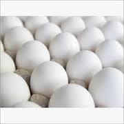 Farm Fresh  White   Shell  Eggs