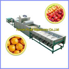 Navel orange cleaning wax polishing grading machine
