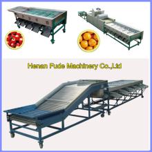 citrus orange cleaning waxing grading machine