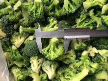 Frozen Broccoli