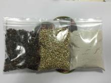 Buckwheat